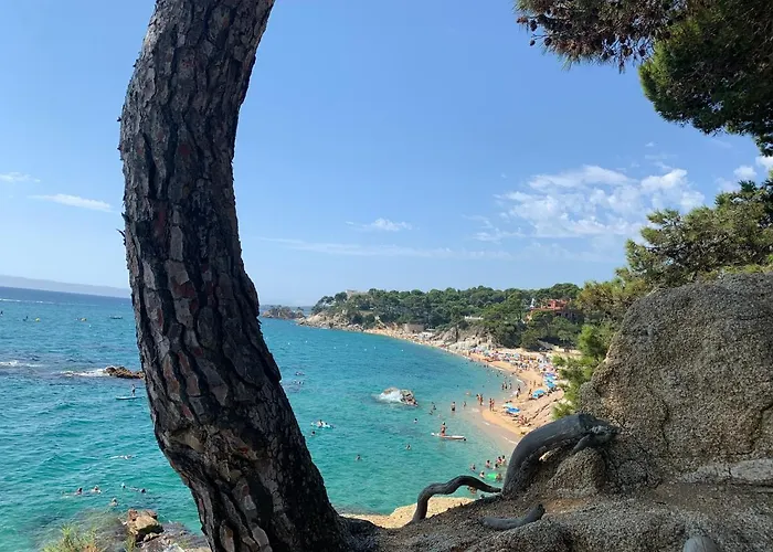 Antonella Ii Platja d'Aro