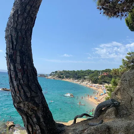 Antonella Ii Platja d'Aro